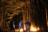 Macbeth en foret 4 * 5184 x 3456 * (9.33MB)